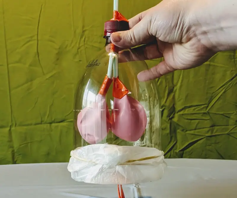 Modelo de Pulmão com Garrafa PET